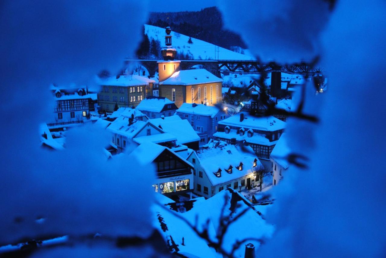 Ferienwohnung Haus Am Sommerberg Ludwigsstadt エクステリア 写真