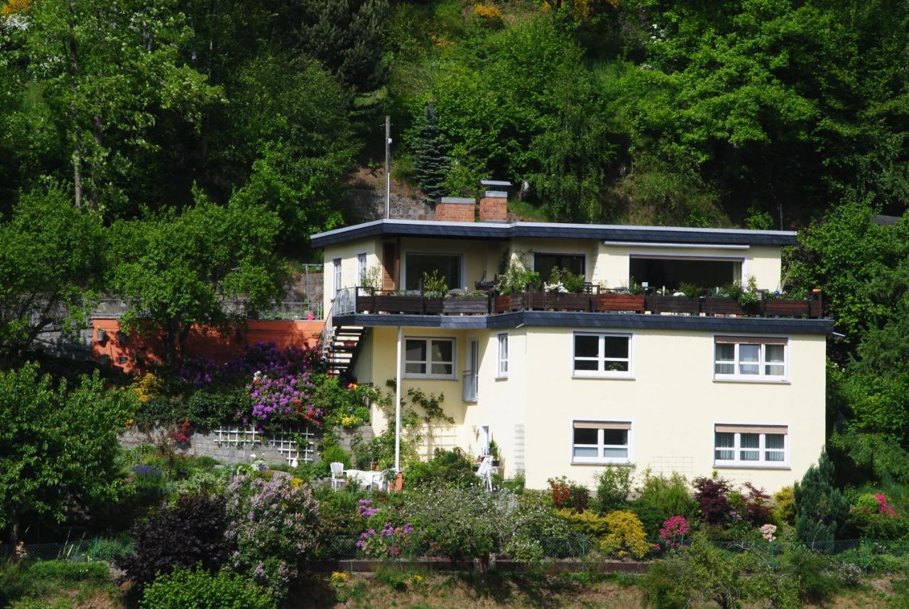 Ferienwohnung Haus Am Sommerberg Ludwigsstadt エクステリア 写真